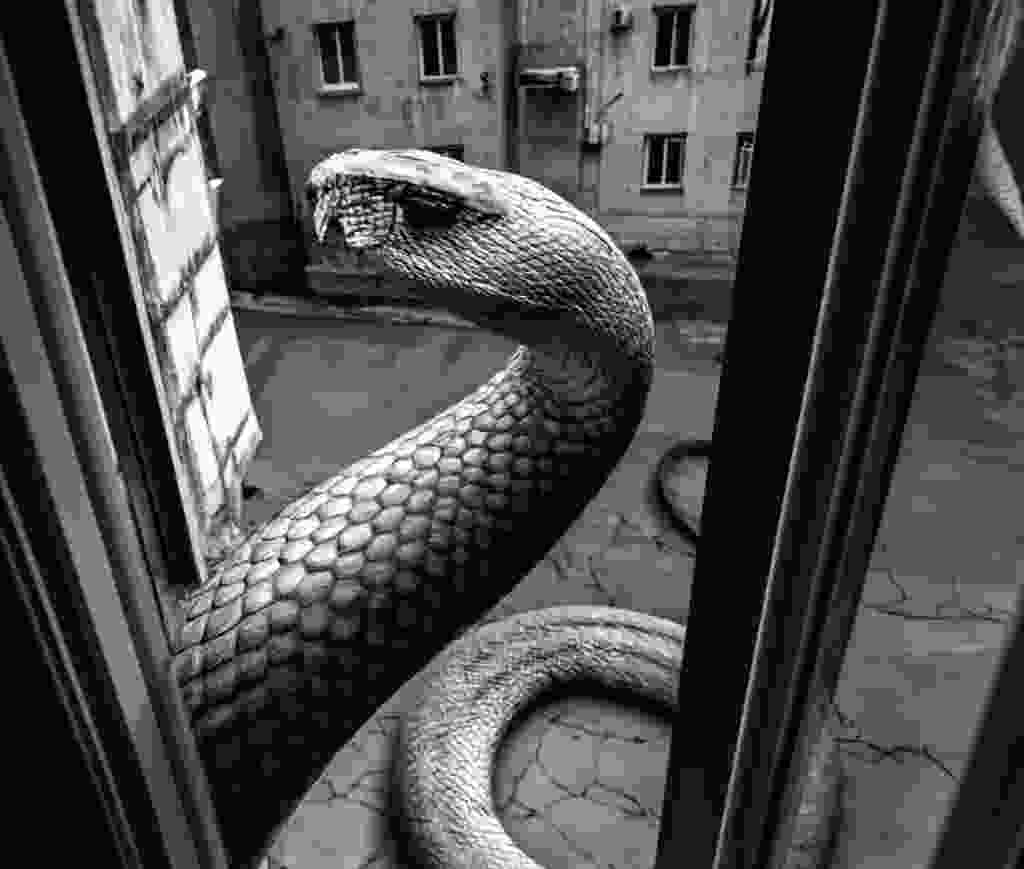 snakekeke